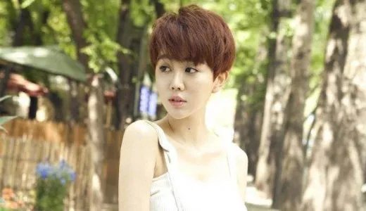 流量明星数据造假微博