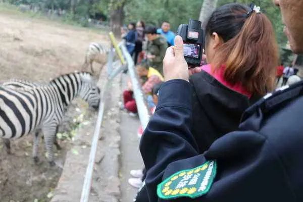 动物园喂狼吃草的女子，被列入什么黑名单了？