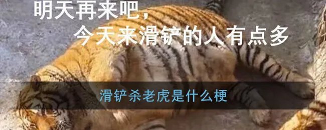 滑铲杀老虎是什么梗