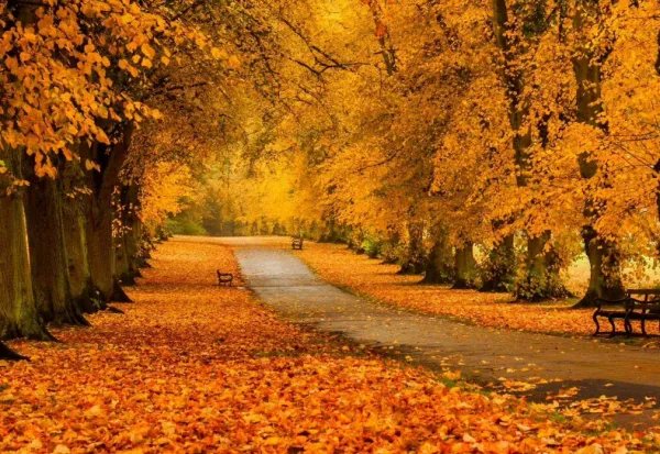 秋天的词语四个字