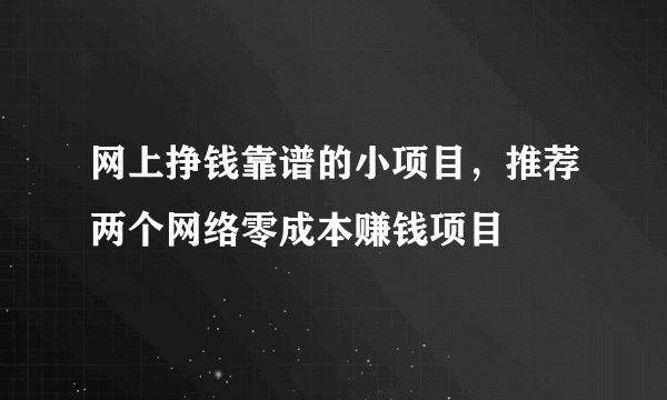 网上挣钱靠谱的小项目，推荐两个网络零成本赚钱项目