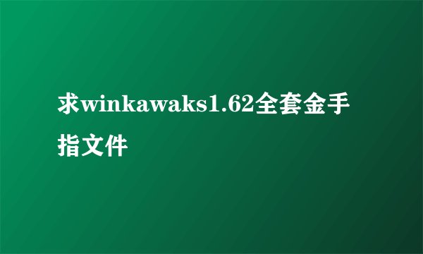 求winkawaks1.62全套金手指文件