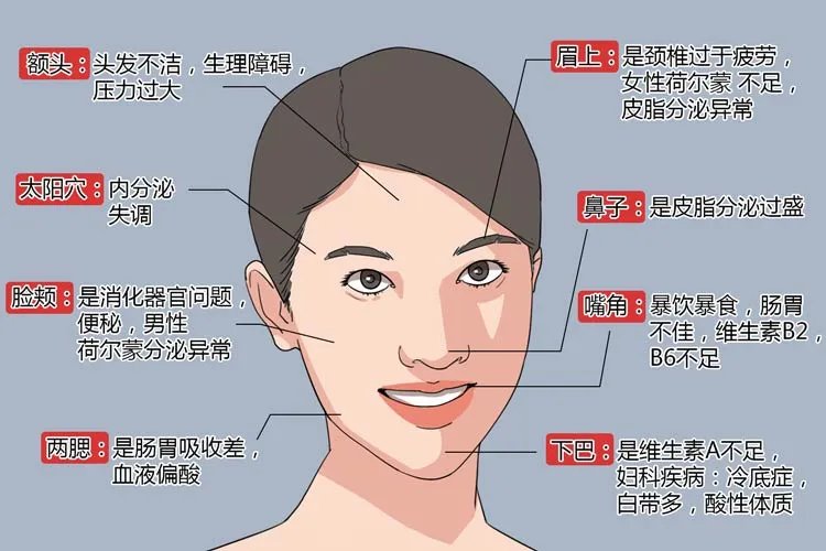 脸上长痘痘的原因图解