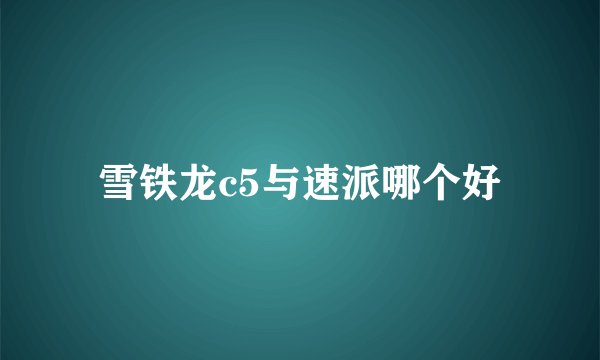 雪铁龙c5与速派哪个好