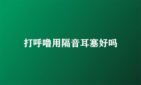 打呼噜用隔音耳塞好吗