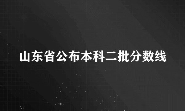 山东省公布本科二批分数线