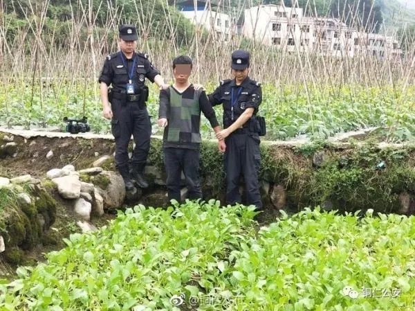重庆一博士1个月偷菜6次被抓，他将受到怎样的惩罚？