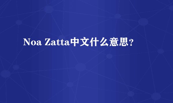 Noa Zatta中文什么意思？