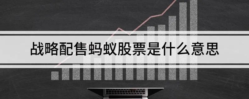 战略配售蚂蚁股票是什么意思