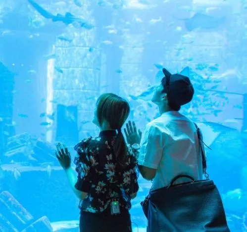 井柏然为什么要删掉跟郑爽有关的微博?