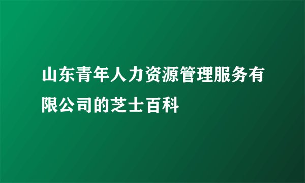 山东青年人力资源管理服务有限公司的芝士百科