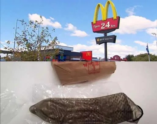 在麦当劳吃出羽毛怎么回事：这到底是个什么梗？