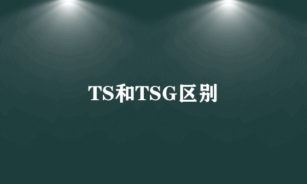 TS和TSG区别
