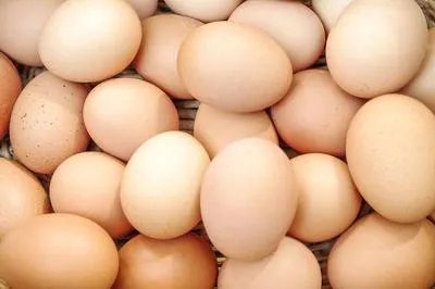 立冬进补吃什么对身体好