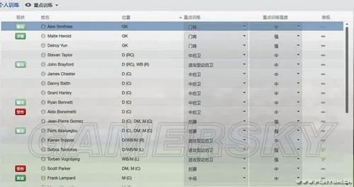 《足球经理2013》训练系统全解