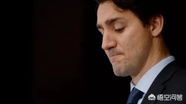 加拿大开始调查总理办公室的受贿丑闻，你是怎么看待的？