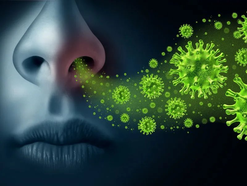 禽流感h7n9的预防措施