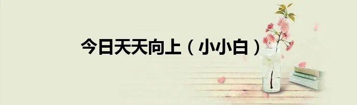 今日天天向上（小小白）