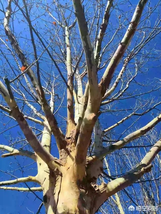 初中生摆摊8天赚1万7，你怎么看？