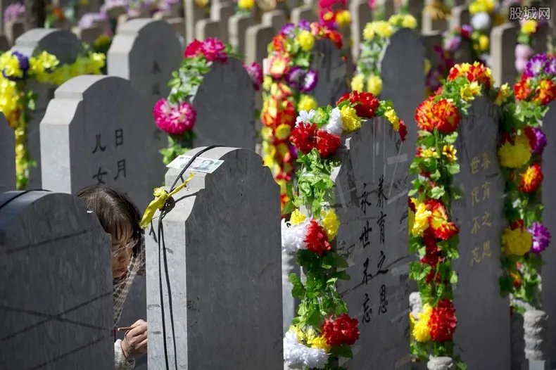 公墓祭祀鲜花被盗卖 15元一枝价格二次售卖