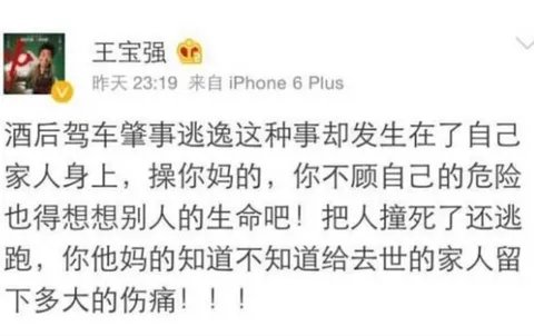 车祸事件王宝强怒骂肇事逃逸者什么人 司机已投案自首
