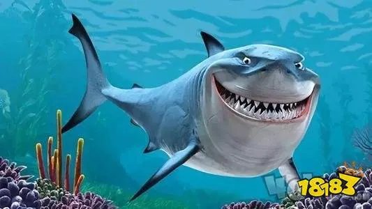 哪种动物一生都在换牙 真正的答案公布不是鳄鱼而是鲨鱼