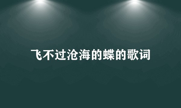 飞不过沧海的蝶的歌词