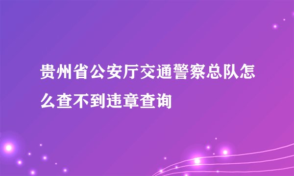 贵州省公安厅交通警察总队怎么查不到违章查询