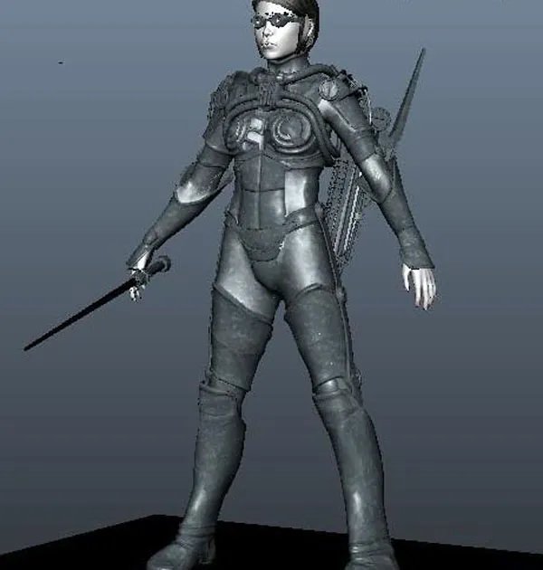 刀剑战士的介绍