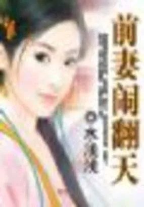 前妻闹翻天的介绍
