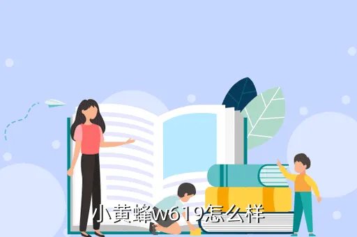 小黄蜂w619,小黄蜂w619怎么样