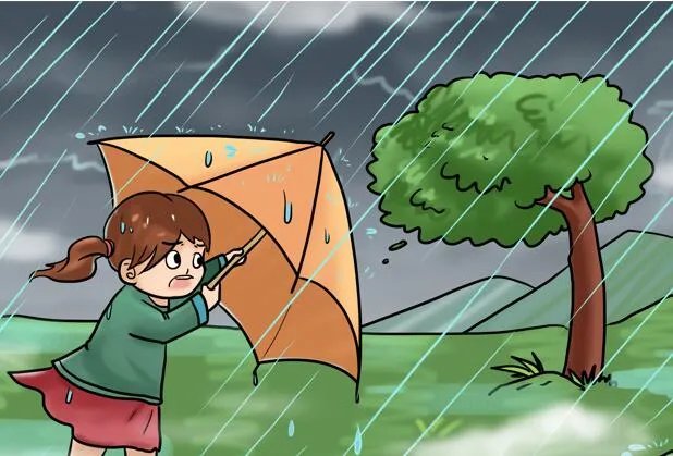 杭州昨晚暴雨突袭:开车如行船 杭州今仍有强降雨伴雷暴大风