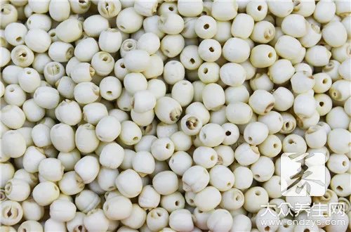 莲心泡水喝有什么功效