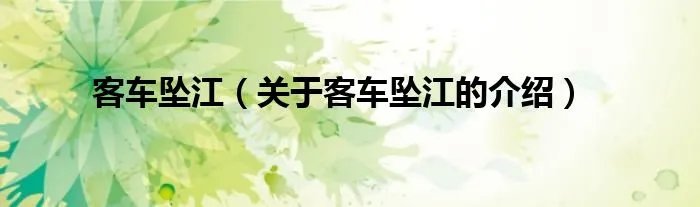 客车坠江（关于客车坠江的介绍）