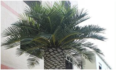 仿真海藻树是什么材料做的？海藻树有什么特点？