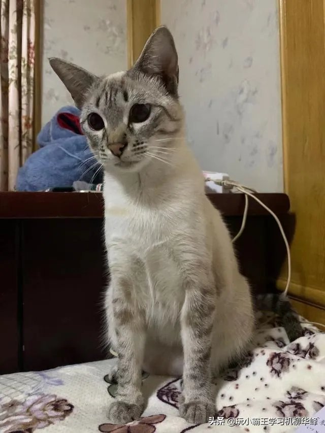 2017到2019什么梗?你怎么看?