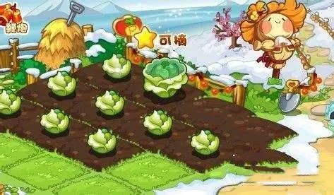 洛克王国木条怎么获得2023年的