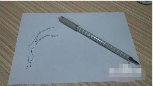 春天的画儿童画画