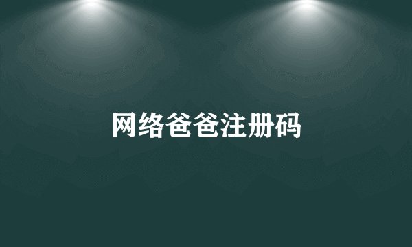 网络爸爸注册码
