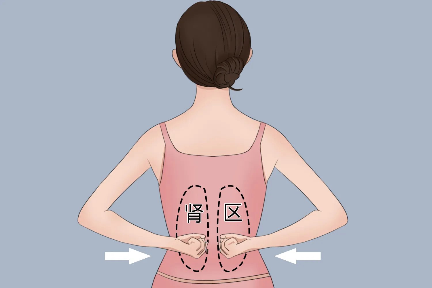 女人肾区位置图片