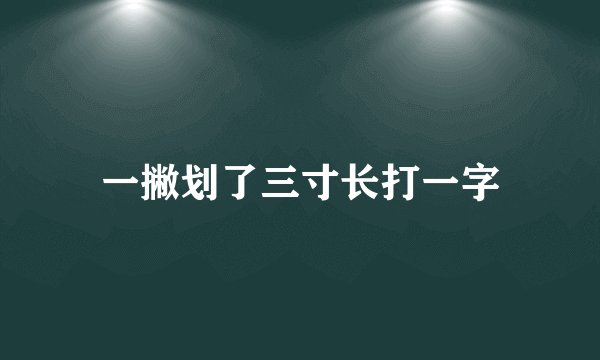 一撇划了三寸长打一字