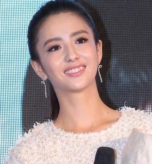 佟丽娅怀孕五个月照曝光 在京会友孕味十足