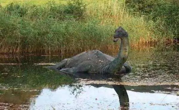 尼斯湖水怪是否真的存在？