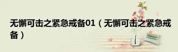 无懈可击之紧急戒备01（无懈可击之紧急戒备）