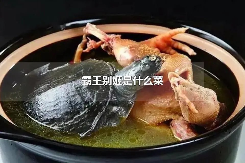 霸王别姬是什么菜 霸王别姬是什么菜系的代表菜