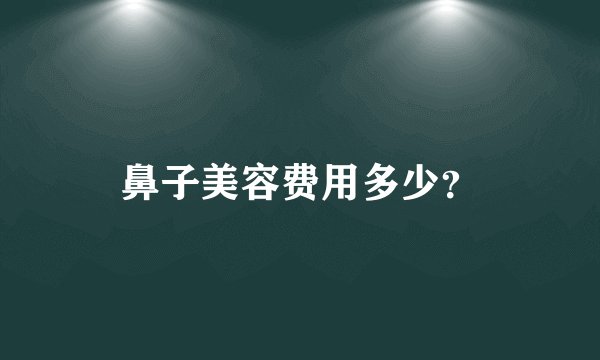 鼻子美容费用多少？