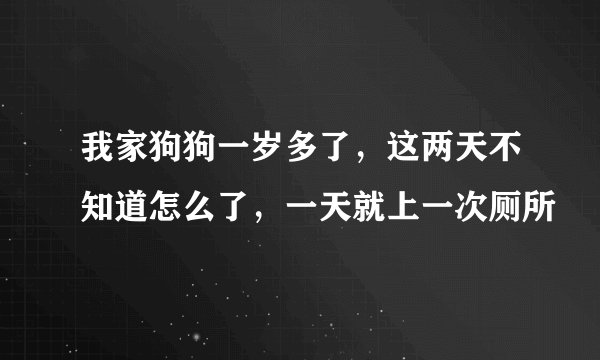 我家狗狗一岁多了，这两天不知道怎么了，一天就上一次厕所