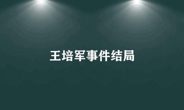 王培军事件结局