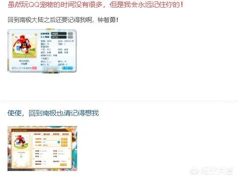 qq宠物停运论坛
