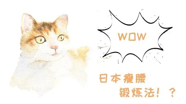 日本瘦腰锻炼法又上热搜！一分钟减肥法和猫咪减肥法，猫咪听到都惊呆了！